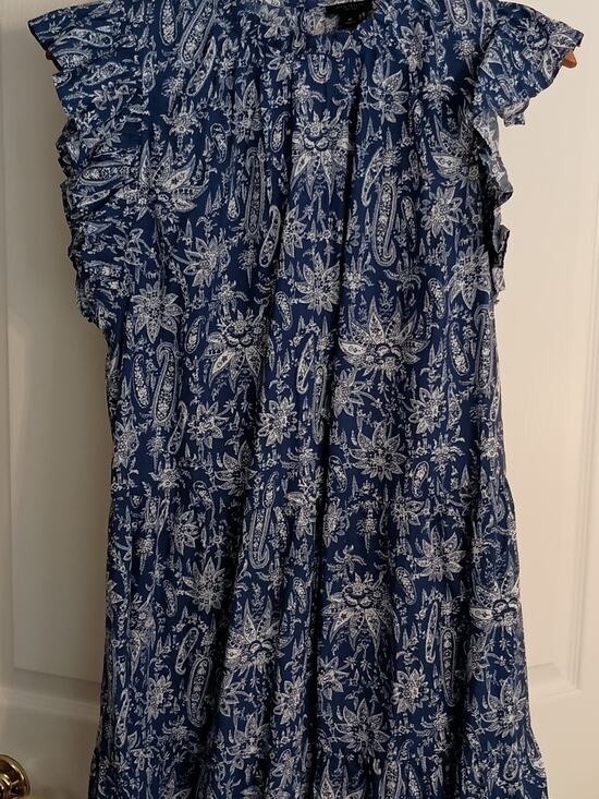 Ann Taylor Dresses & Skirts - Ann Taylor Petite Blue and White Paisley Dress
